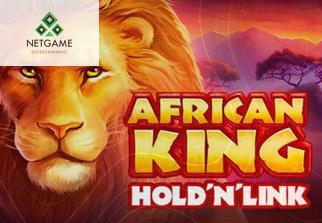 African King Hold'n'Link